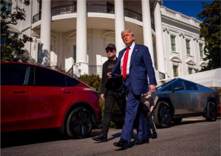 Акции Tesla «ожили» после поддержки Трампа