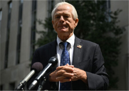 Илон Маск пытался убедить Трампа смягчить тарифы