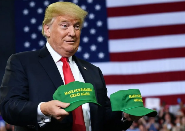 «Масштабные тарифы» Трампа привели к падению рынков, исключение — золото