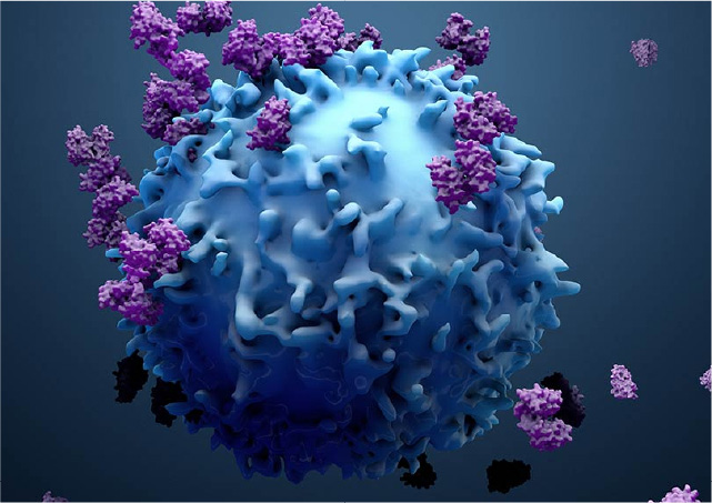 Caris Life Sciences успешно привлекла на IPO $494 млн