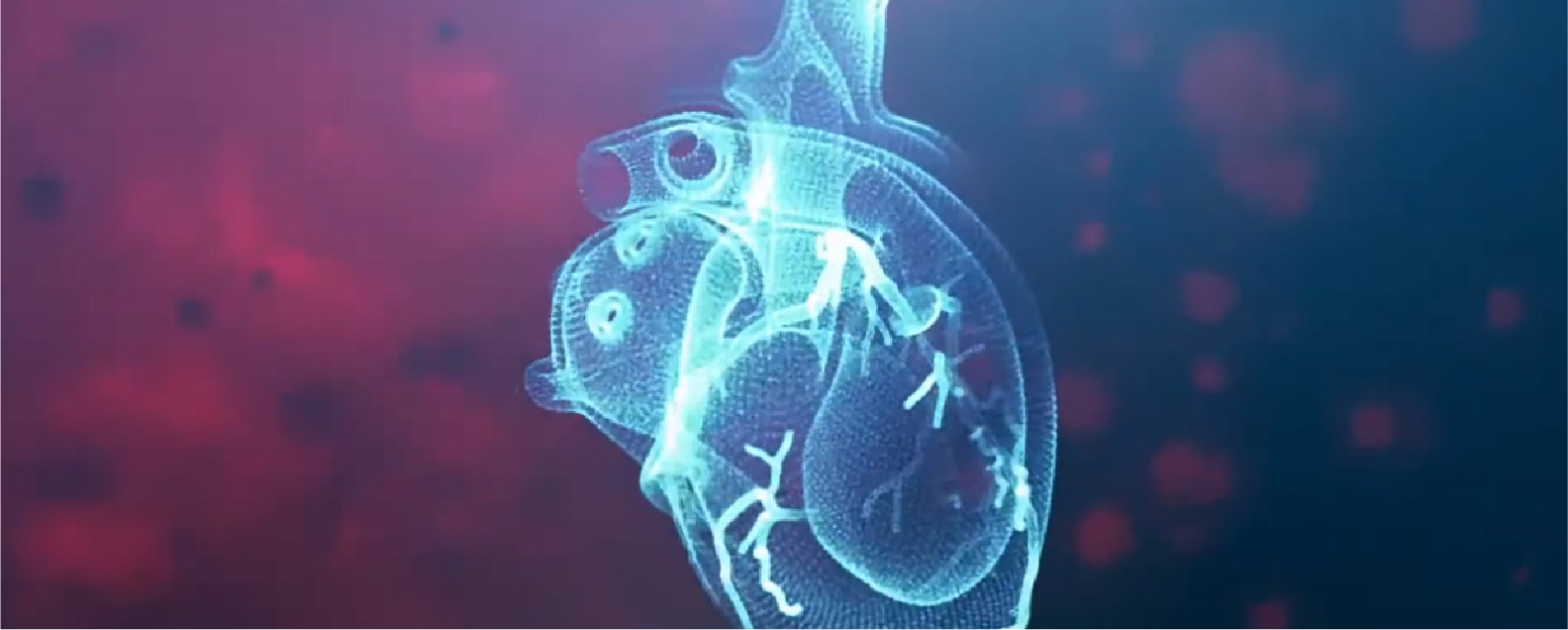 Платформа Heartflow подала заявку на IPO на $100 млн