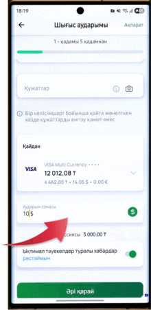 Как пополнить брокерский счет через приложение Halyk - инструкция на казахском языке от платформы Investlink
