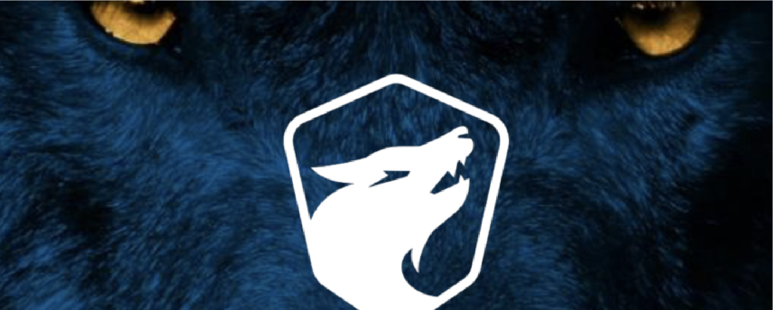 Партнерство с Google подстегнуло акции майнинговой компании TeraWulf на 50%