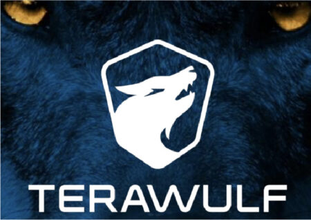 Партнерство с Google подстегнуло акции майнинговой компании TeraWulf на 50%