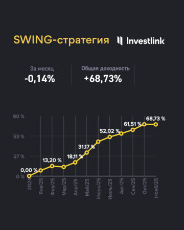 IPO‑стратегия Investlink: результаты за ноябрь 2025
